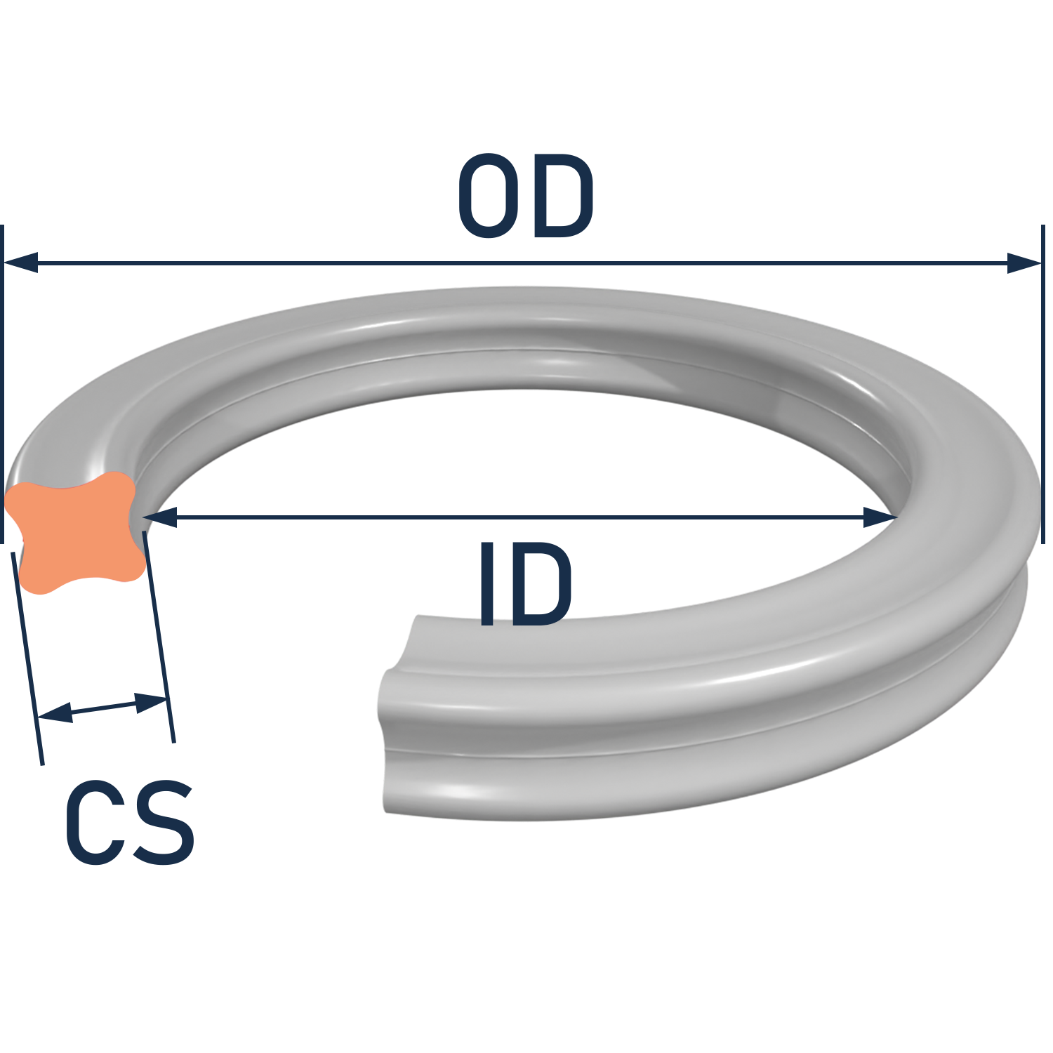 X-Ring dimensional reference