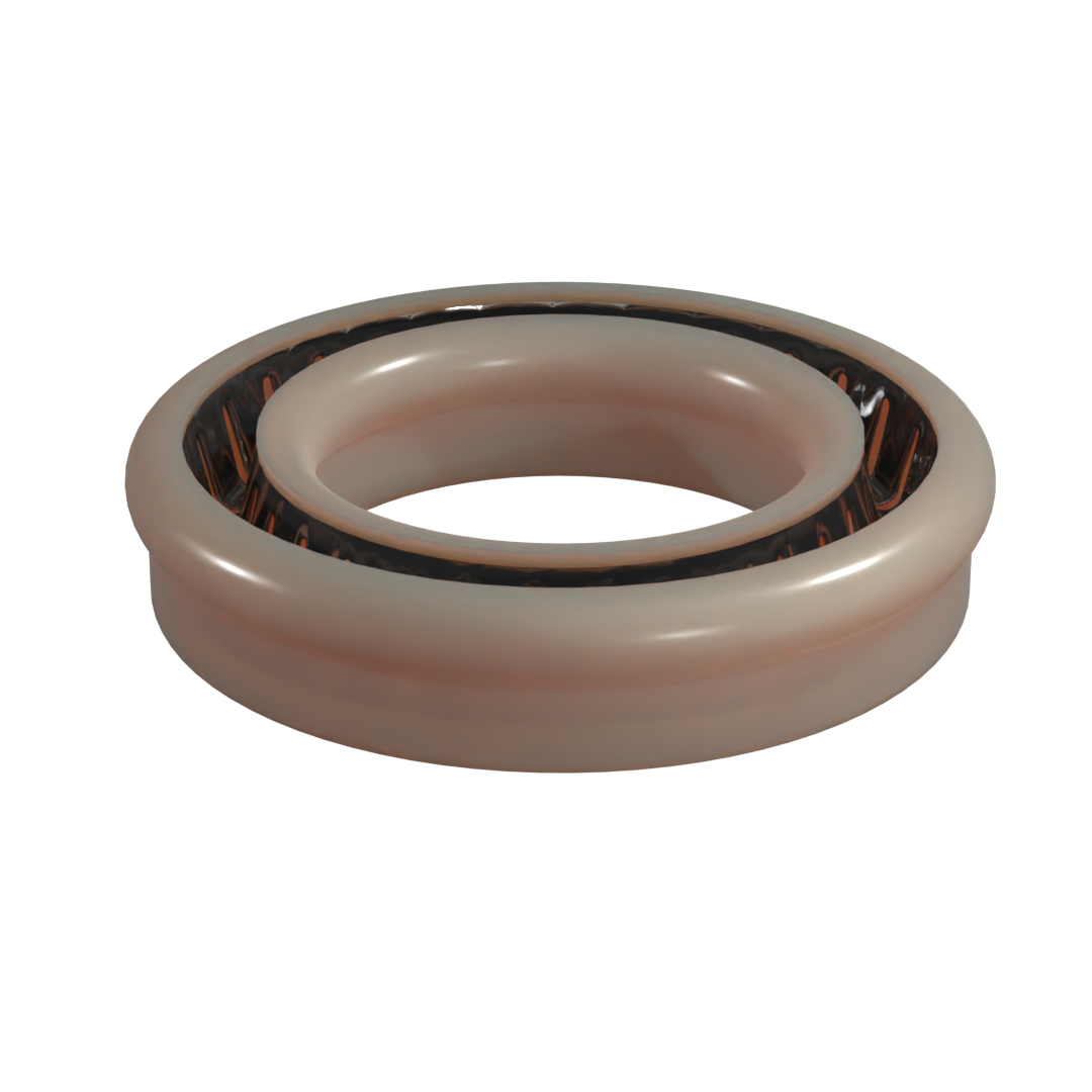 Spring Energized Seal