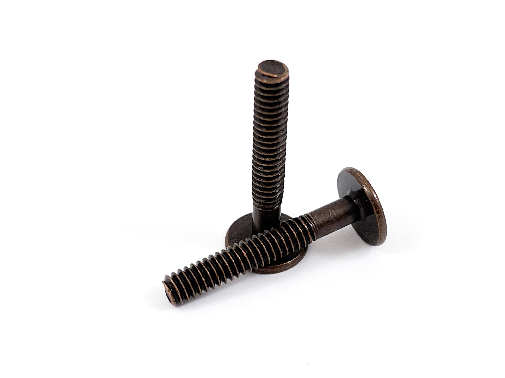 Custom Fastener with Surface Finish